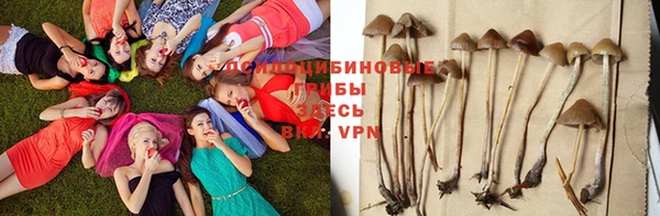 мяу мяу мука Балахна